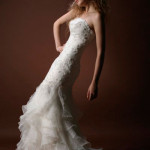 Elegant beautiful wedding gown
