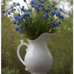 blue wildflower bouquet