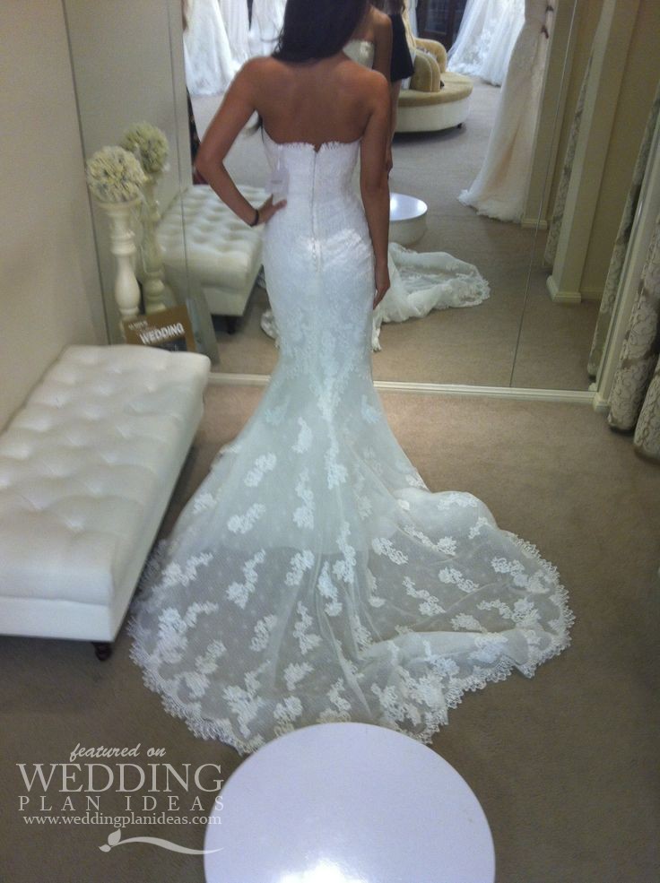 Lace Wedding Dress by Pronovias Back View